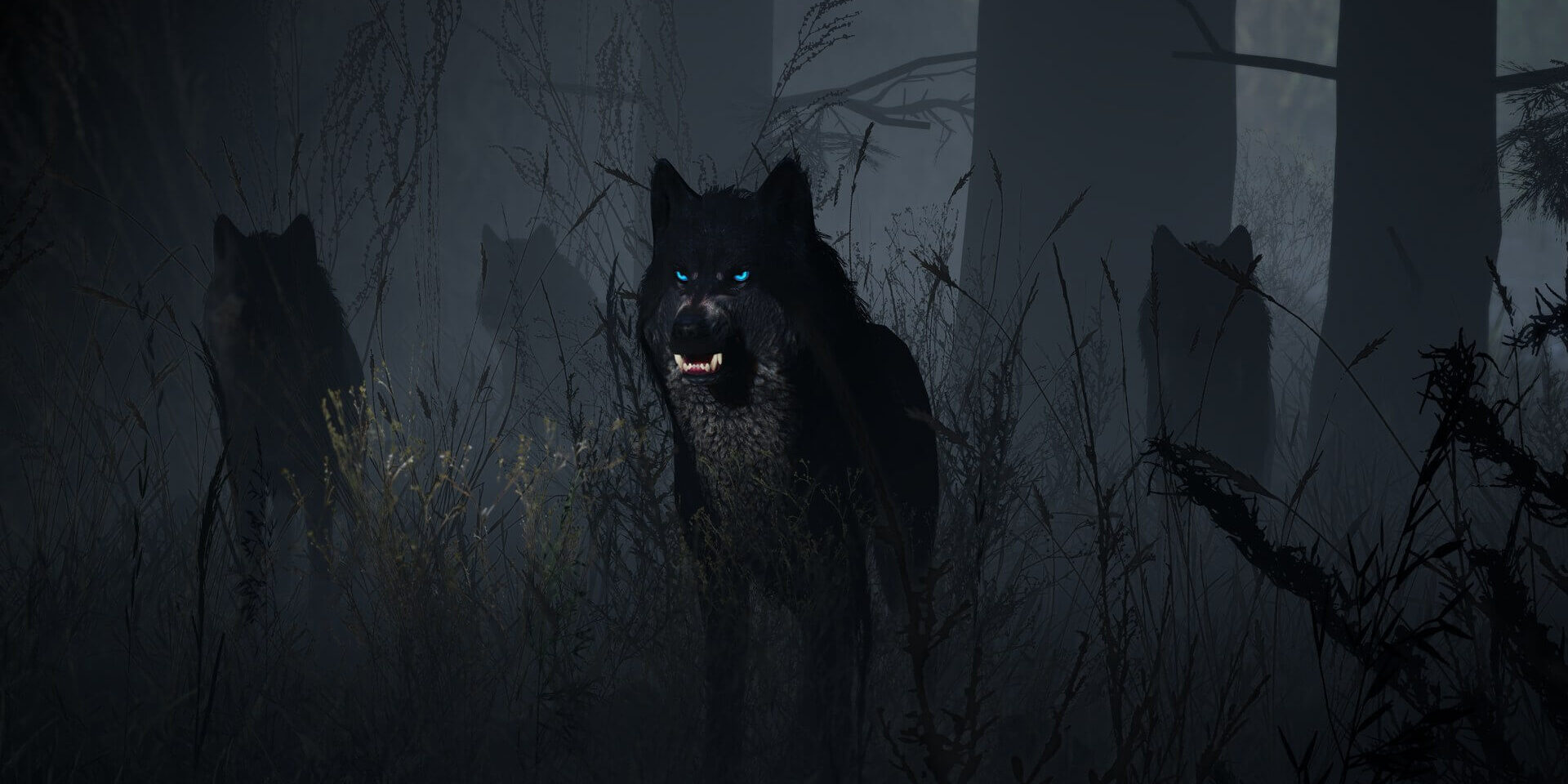 Scum-gallery-06_1920x1079